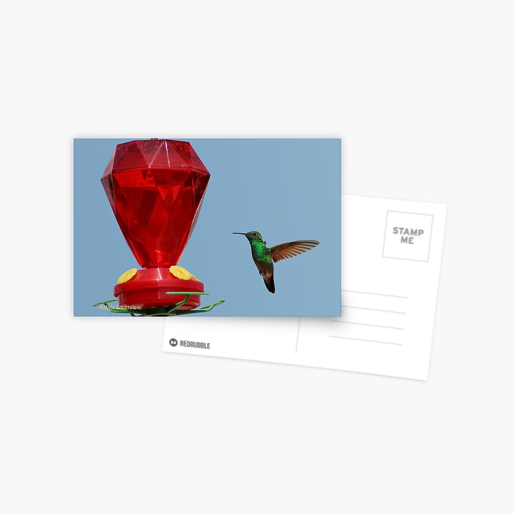 Item preview, Postcard designed and sold by MaluC.