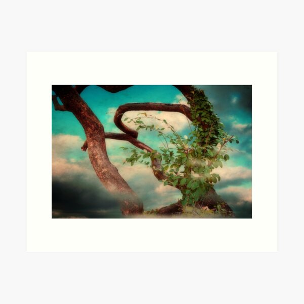 Item preview, Dream On designed and sold by Christine Lake.