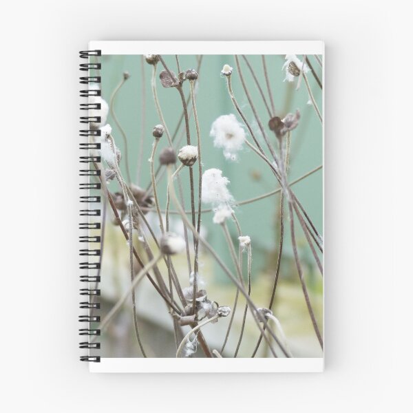 Item preview, Cotton plant designed and sold by Margotte.