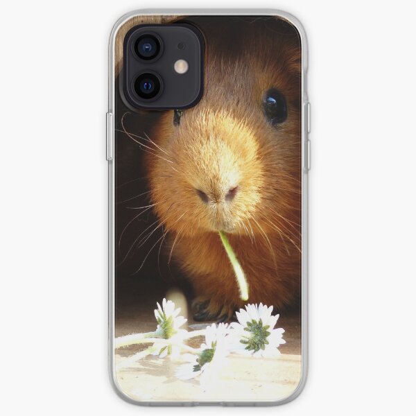 Super cute guinea pig eating iPhone Soft Case