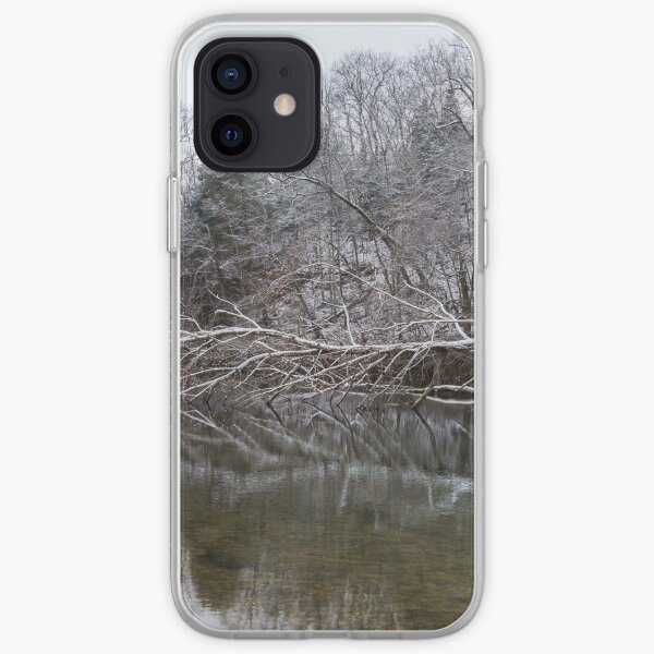 Fallen Reflections At Finley iPhone Soft Case