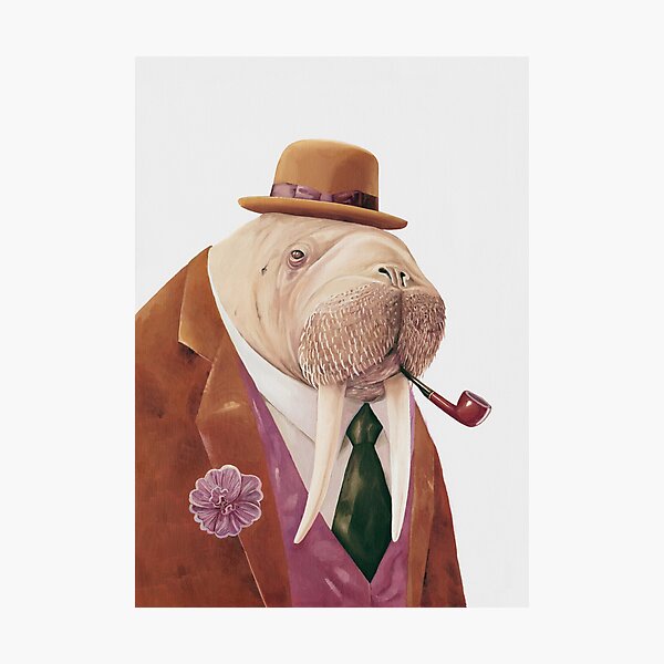 Walrus Photographic Print