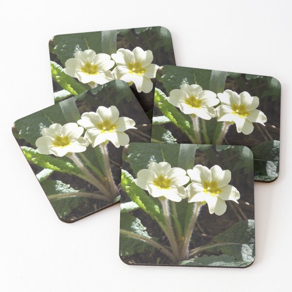 Item preview, Yellow Primroses designed and sold by pinkal.