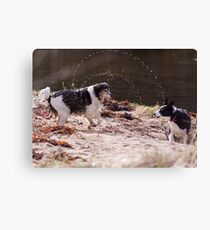 Shake It All About Canvas Print