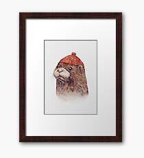 Otter Gerahmtes Wandbild