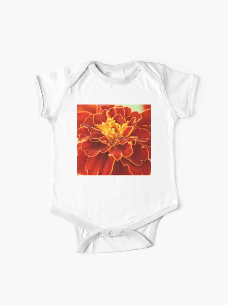 Tagetes patula 'Red Cherry' French marigold | Baby One-Piece