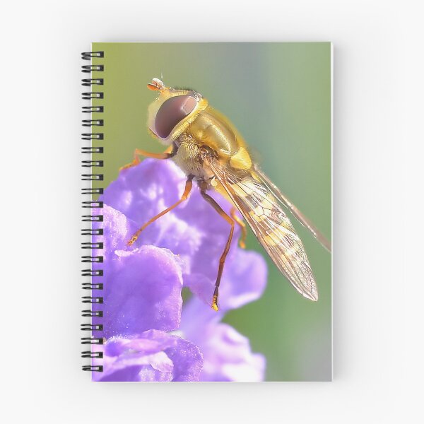 Item preview, Pretty Hoverfly designed and sold by relayer51.