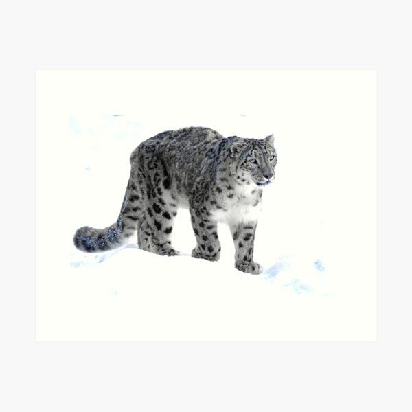 Item preview, Snow Leopard designed and sold by joelle Guillaume.