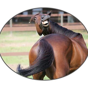 Download free Cute Horse On Majestic Pose Wallpaper - MrWallpaper.com
