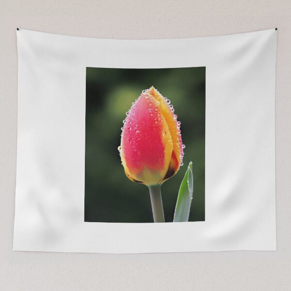 Item preview, Perfect Love - Tulip In The Rain designed and sold by Dorset Girl.