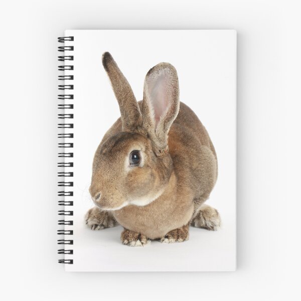 Item preview, Animals designed and sold by Andy Morales.