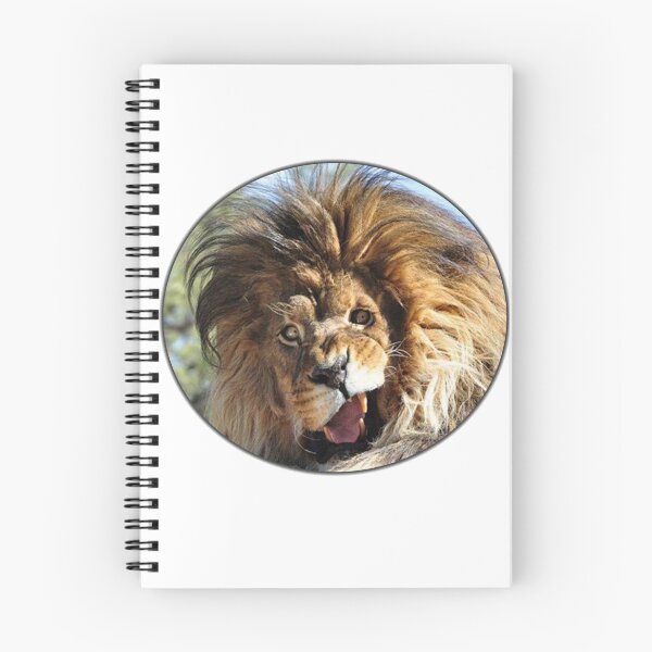 Item preview, LION pulling amazing funny UGLY pose - Animals caught on candid camera designed and sold by NumbTs.
