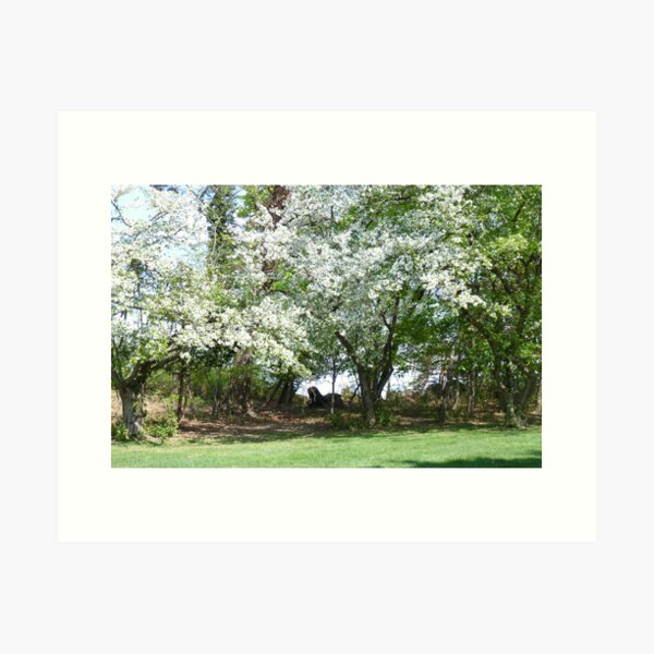 Item preview, A Beautiful Appleblossom Tree in Springtime NJ designed and sold by Monica M Engeler.
