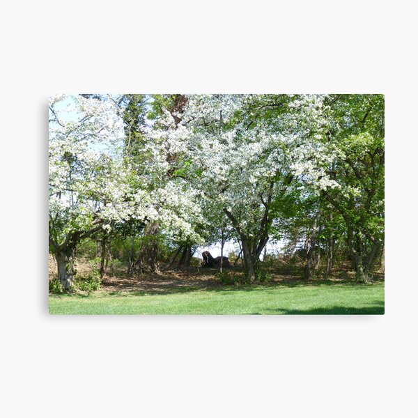 Item preview, A Beautiful Appleblossom Tree in Springtime NJ designed and sold by Monica M Engeler.