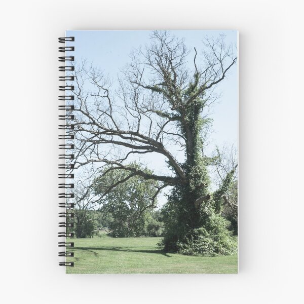 Item preview, Gnarled Tree designed and sold by JWDanielson.