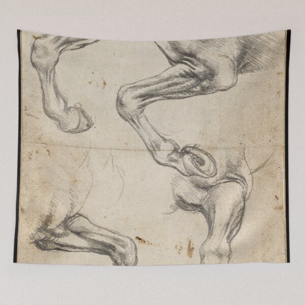 Item preview, Leonardo da Vinci - Studies of Horse's Leg designed and sold by VibrantDesign.