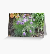 Flowers Greeting Card