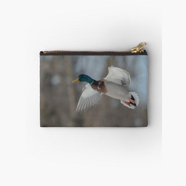 Item preview, Drake Mallard 2019-8 designed and sold by Thomasyoung.