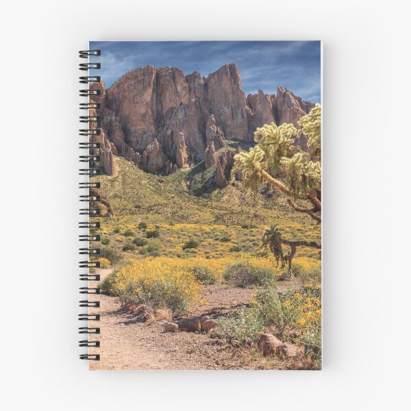Item preview, Superstition Mountain Cholla designed and sold by James Eddy.