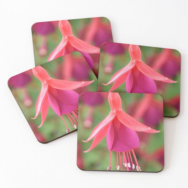 Item preview, Fuchsia  'Pink Fizz'   designed and sold by Chris Burrows.