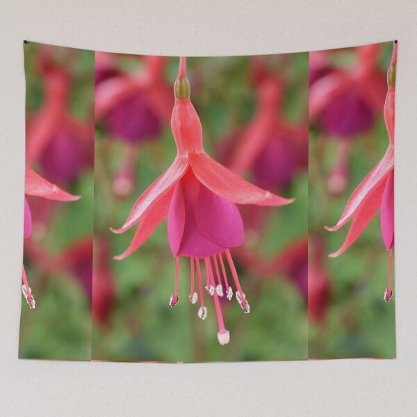 Item preview, Fuchsia  'Pink Fizz'   designed and sold by Chris Burrows.