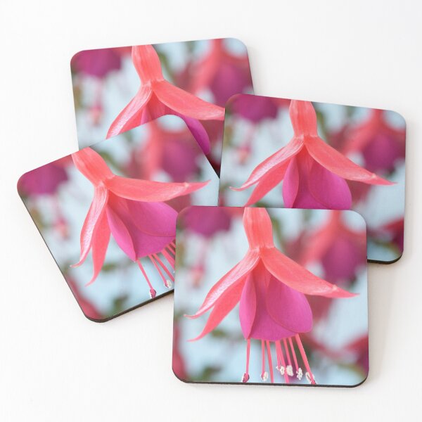 Item preview, Fuchsia 'Pink Fizz' designed and sold by Chris Burrows.