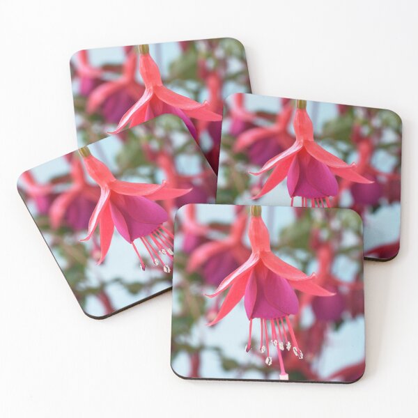 Item preview, Fuchsia 'Pink Fizz' designed and sold by Chris Burrows.