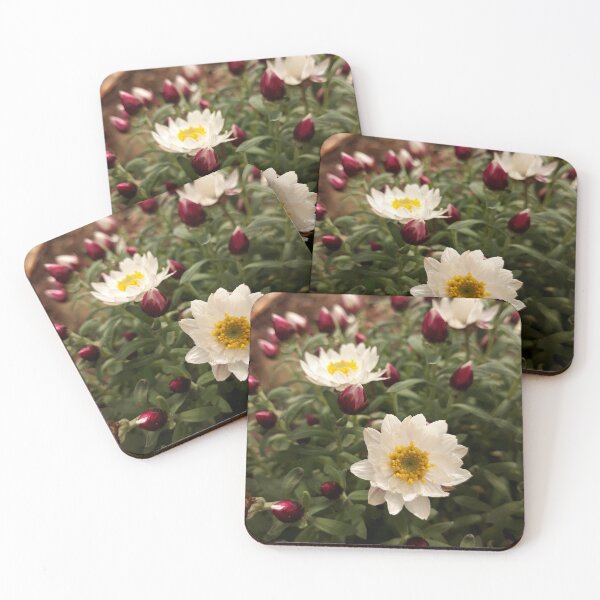 Item preview, Paper Daisies designed and sold by Todays a Good Day.
