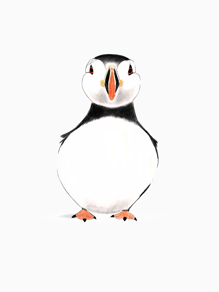 Cute Puffin Clown by ainikolov