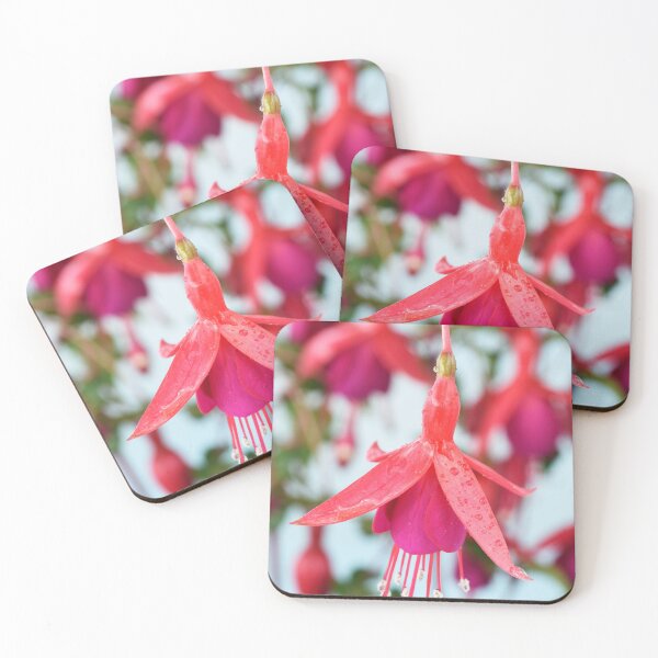 Item preview, Fuchsia 'Pink Fizz' designed and sold by Chris Burrows.