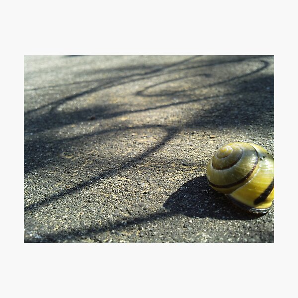 Shadow Trail Photographic Print