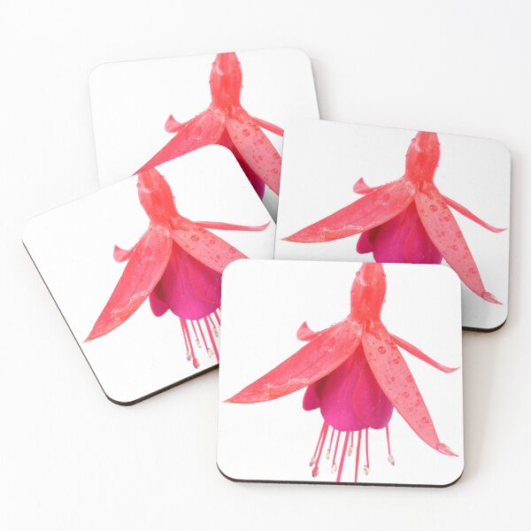Item preview, Fuchsia 'Pink Fizz' designed and sold by Chris Burrows.