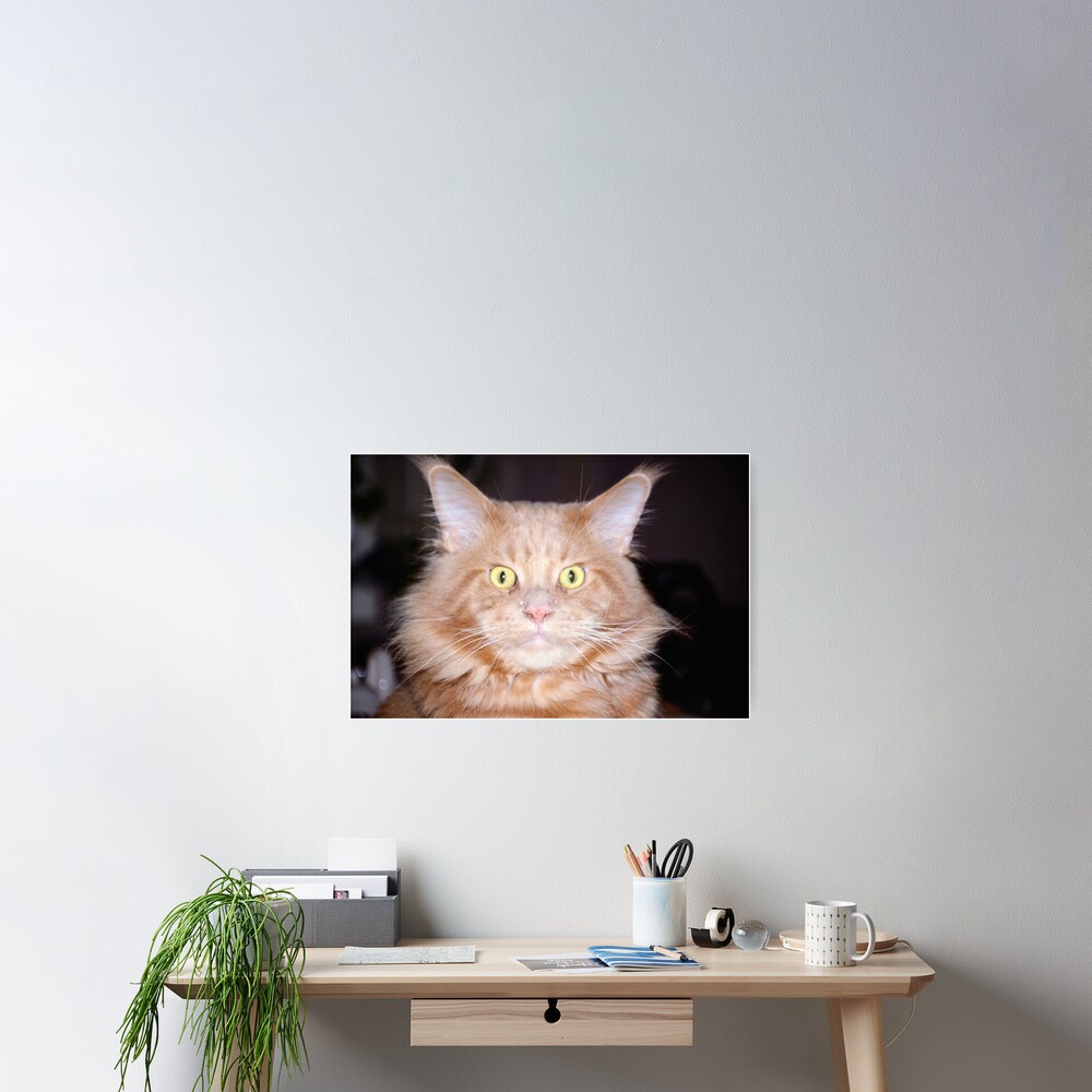 Item preview, Poster designed and sold by Mallorn.