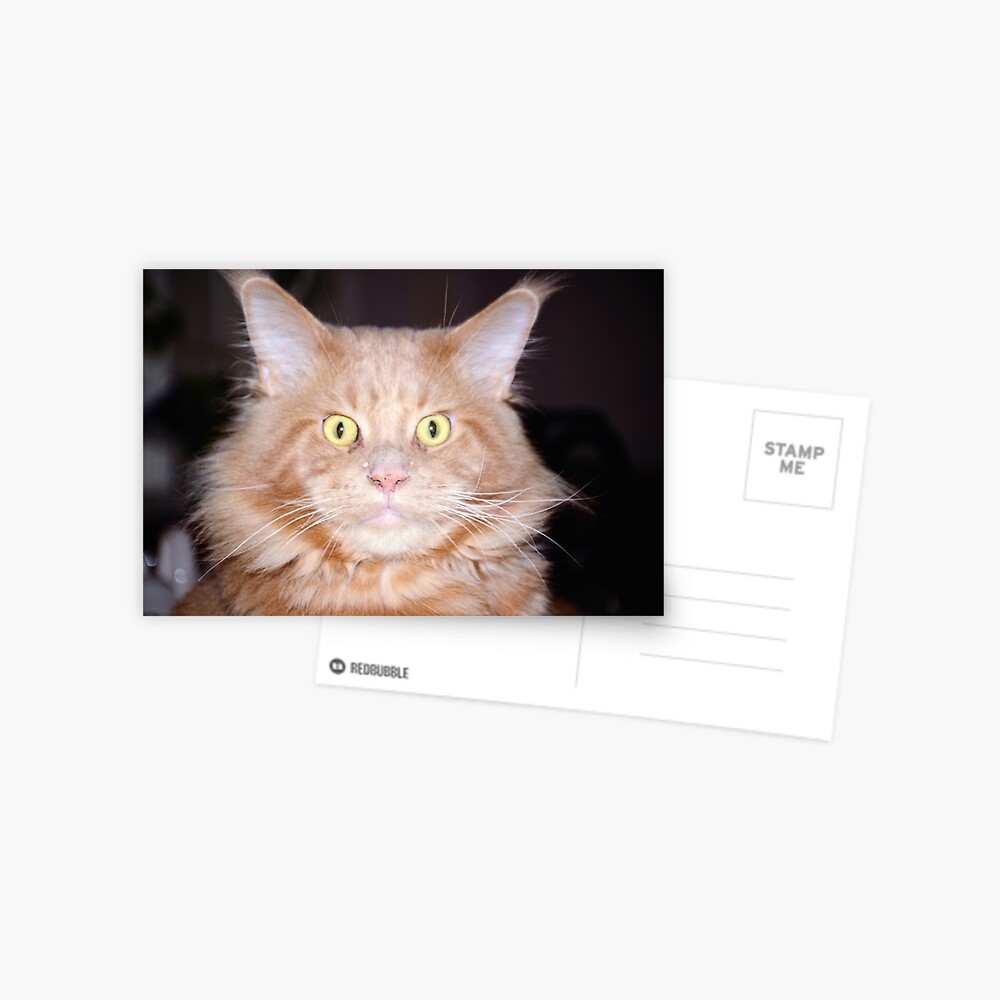 Item preview, Postcard designed and sold by Mallorn.