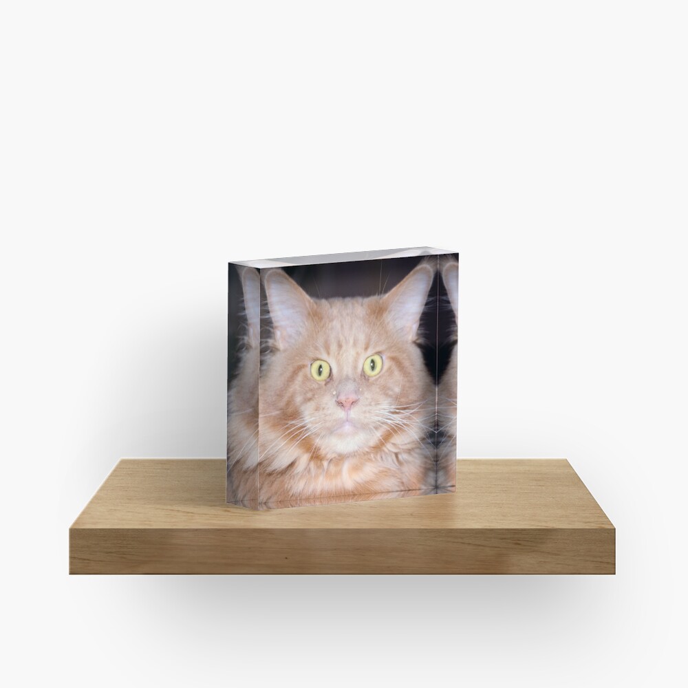 Item preview, Acrylic Block designed and sold by Mallorn.