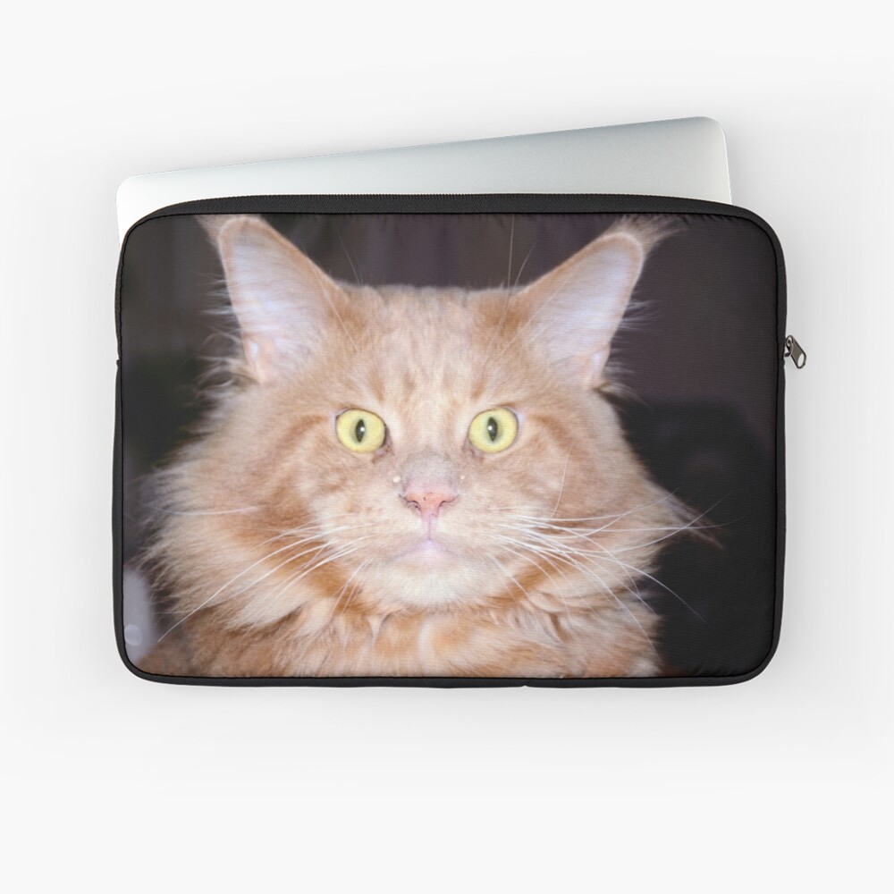 Item preview, Laptop Sleeve designed and sold by Mallorn.