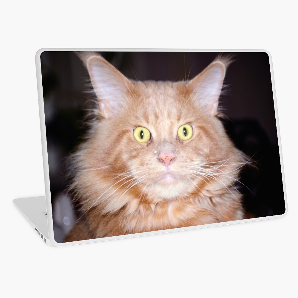 Item preview, Laptop Skin designed and sold by Mallorn.
