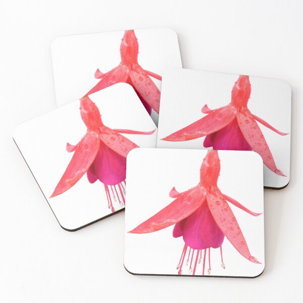 Item preview,  Fuchsia 'Pink Fizz' designed and sold by Chris Burrows.