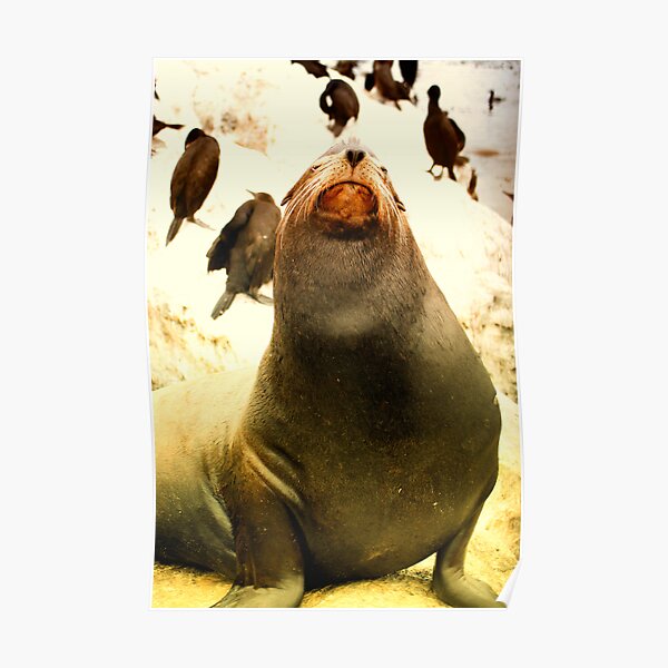 This is MY Turf Poster