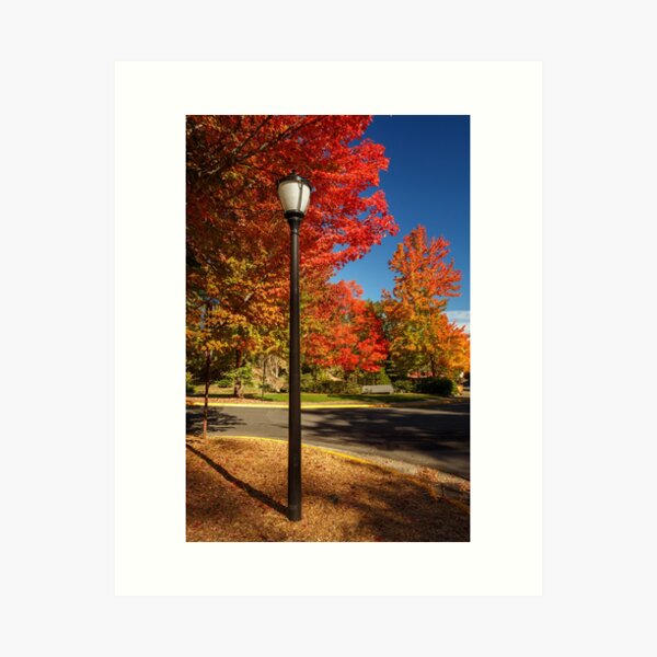 Item preview, Lamp Post On The Corner designed and sold by James Eddy.