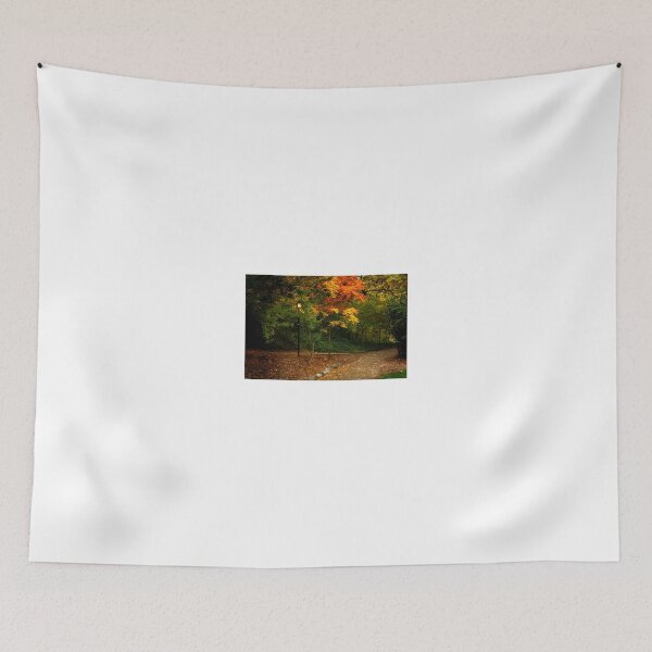 Item preview, Lamp Post On An Autumn Path designed and sold by James Eddy.