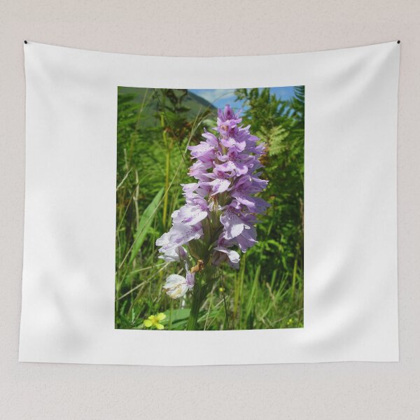 Item preview, Heath Spotted Orchid (Dactylorhiza maculata) designed and sold by lezvee.