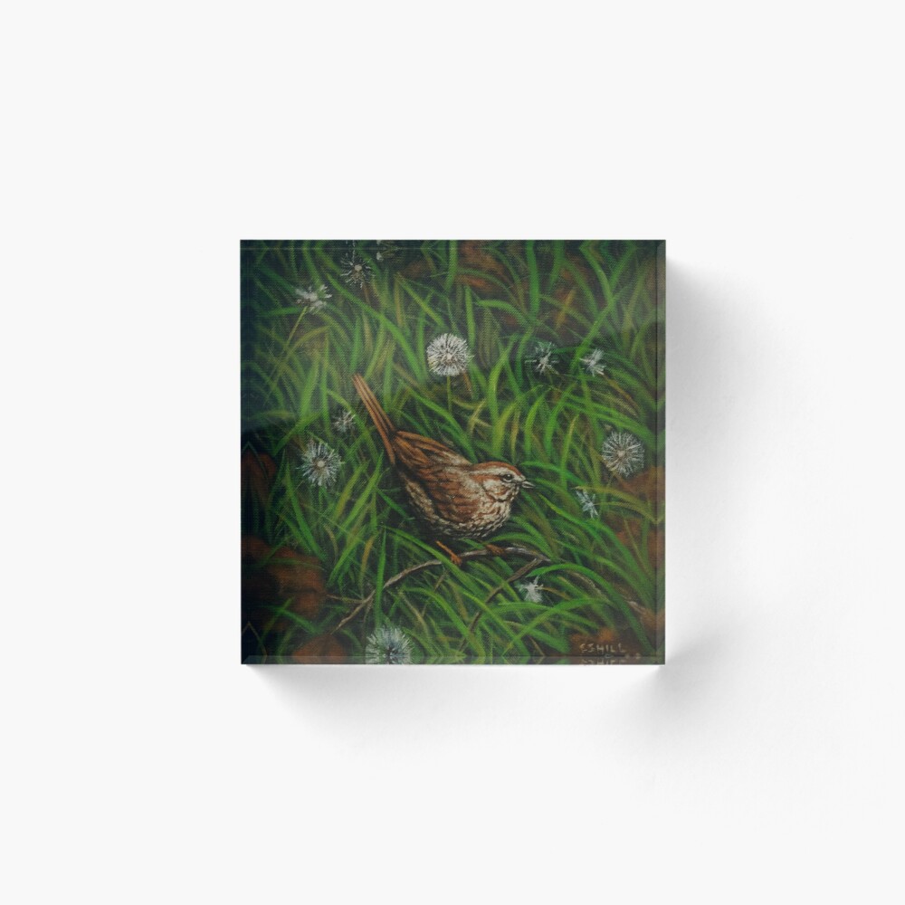 Item preview, Acrylic Block designed and sold by CHARLESHILLART.