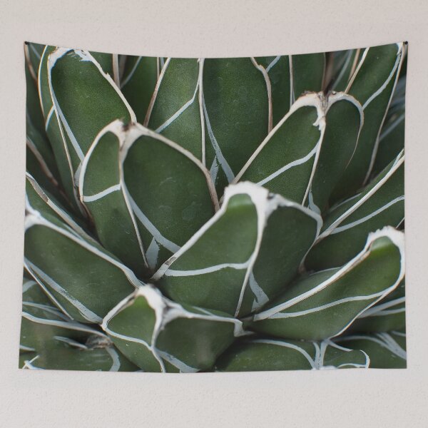 Item preview, We are all beautiful in our own way! Love, the Cactus. designed and sold by Naturestories.