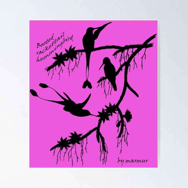 Item preview, Black booted rackettail hummingbird designed and sold by marmur.
