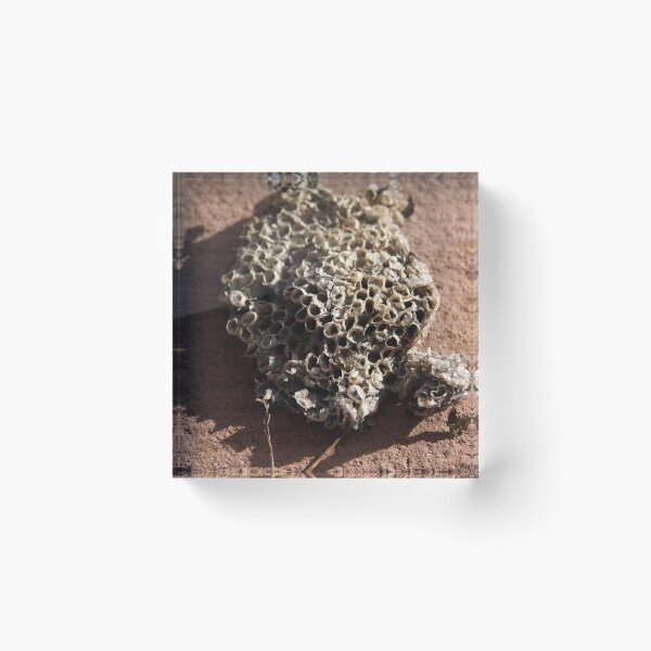 Item preview, Wasp Nest designed and sold by Mia Russell.