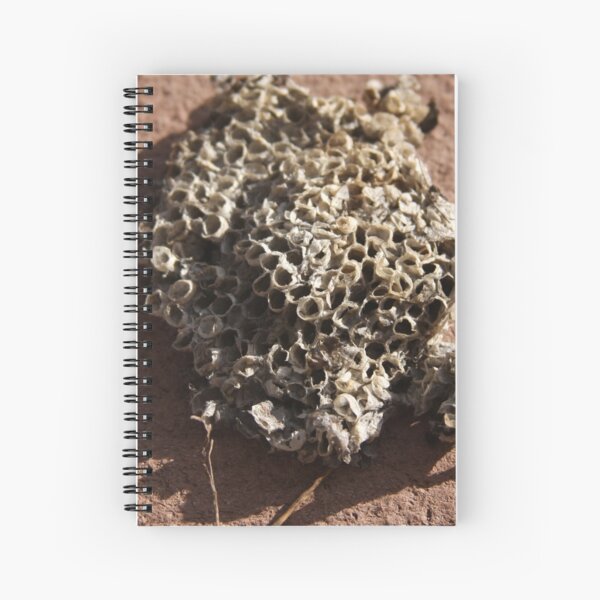 Item preview, Wasp Nest designed and sold by Mia Russell.