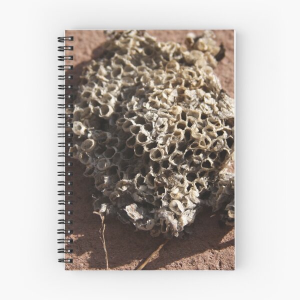 Item preview, Wasp Nest designed and sold by Mia Russell.