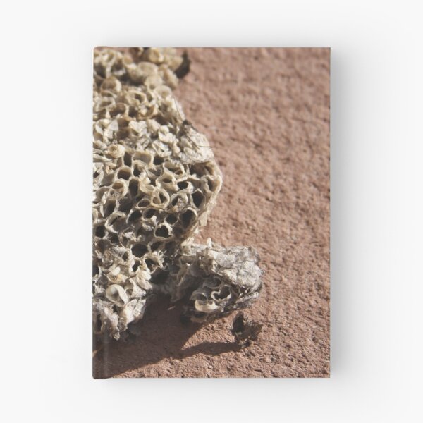 Item preview, Wasp Nest designed and sold by Mia Russell.