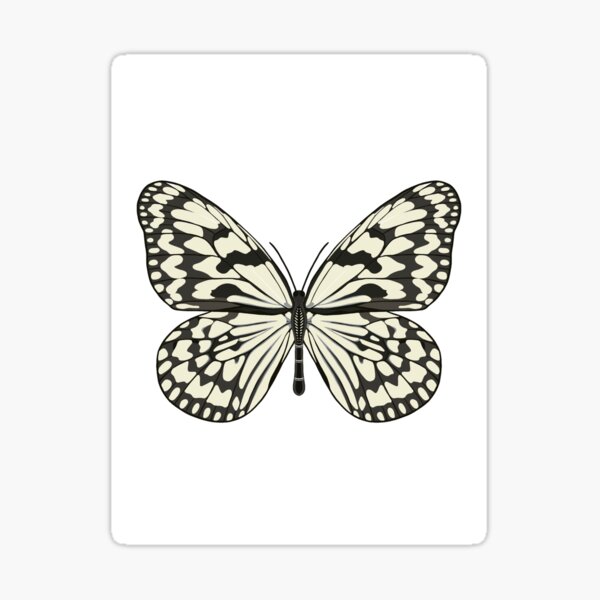 Marble White Butterfly Sticker